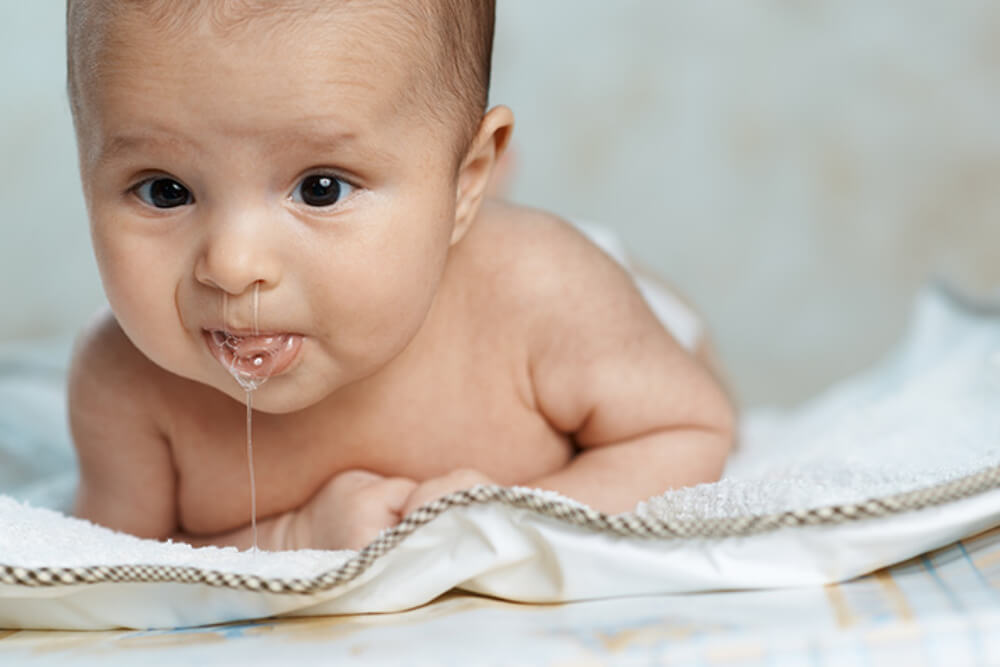 every thing you never wanted to know about saliva